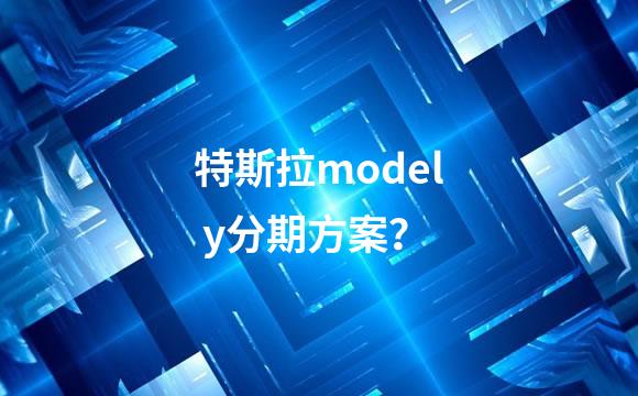 特斯拉model y分期方案？